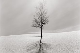 09