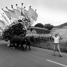 Rosais, domingo da Trindade, 2004. Desfile dos carros.
