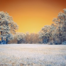 _MG_0263_INFRARED
