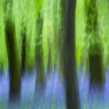 Pastel-Woods
