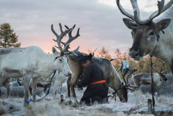 Tsaatan; Mongolia by Madoka Ikegami – Dodho