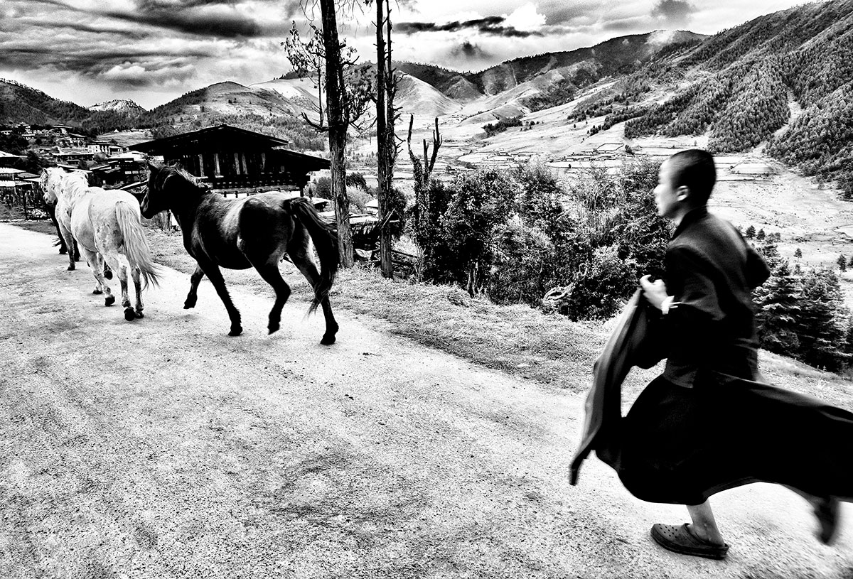 https://www.dodho.com/wp-content/uploads/2024/09/Bhutan-horse-chase_High-Resolution_S.jpg